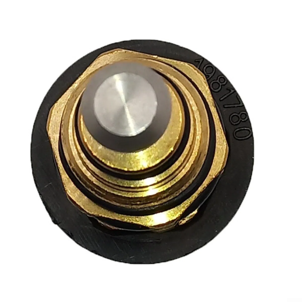 Kit valvola di scarico AR2858 per pompa idropulitrice XJV e SJV, costruzione ABS, nero e oro, ideale per la pulizia esterna e la manutenzione del giardino